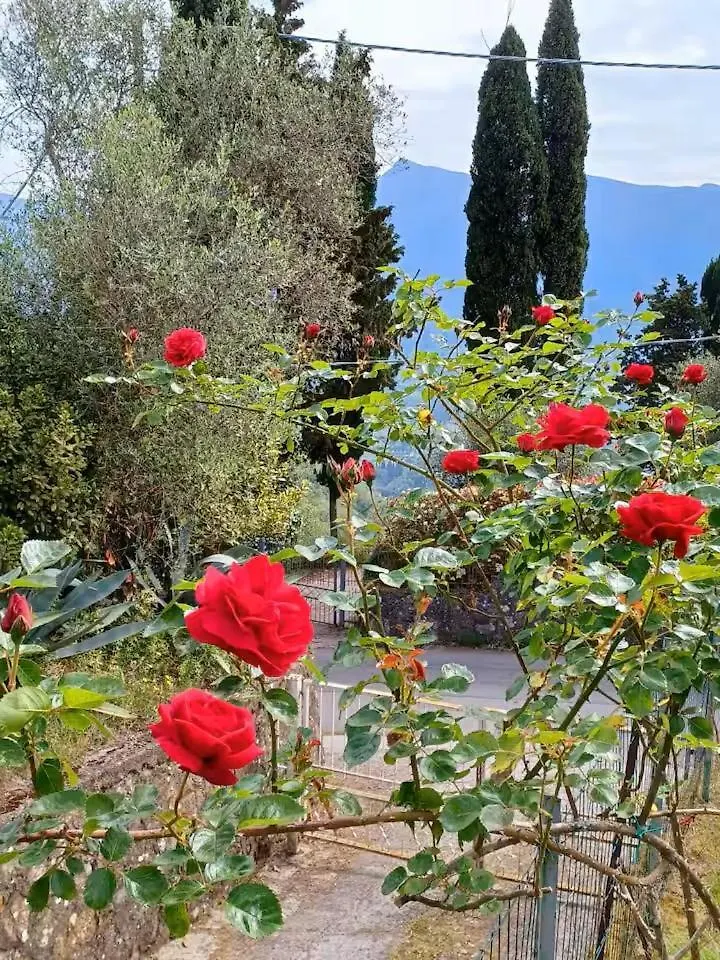 Chez Fredy Villa Camaiore 0*,