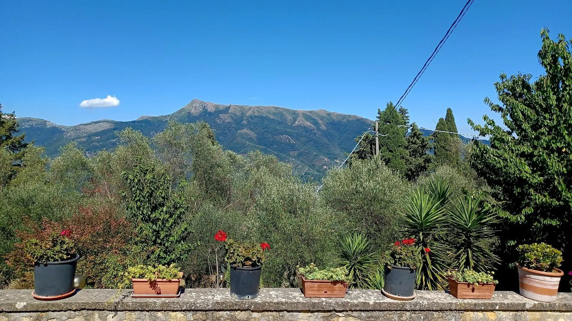 Chez Fredy Villa Camaiore 0*,  Italy